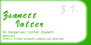 zsanett volter business card